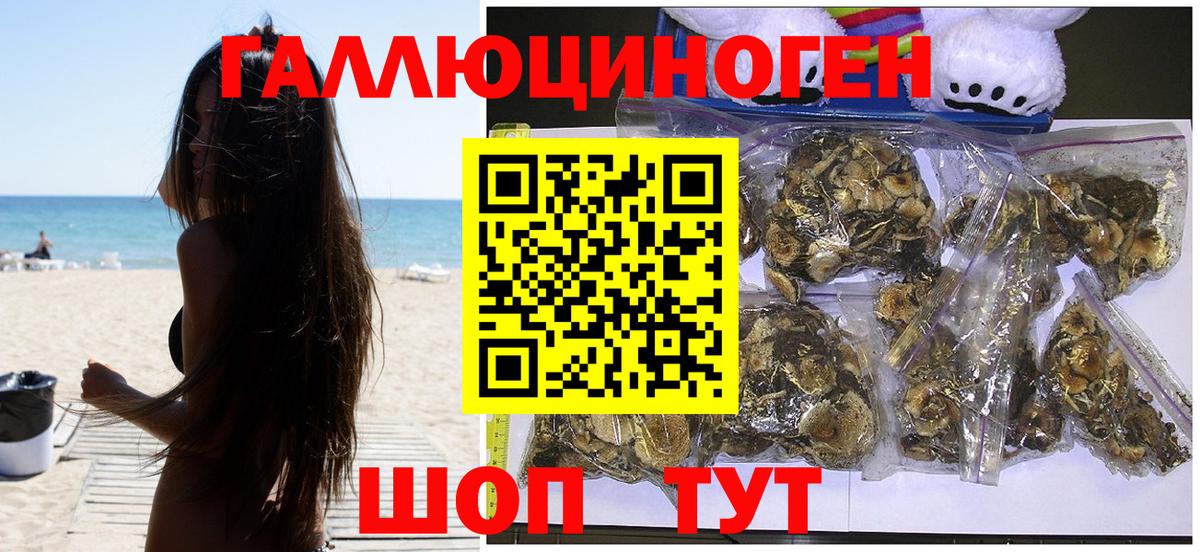 Галлюциногенные грибы Cubensis Нягань